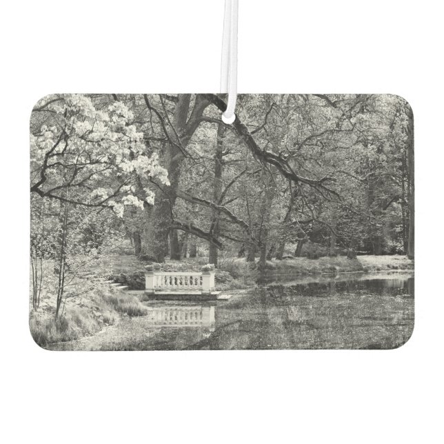 Ambientador Lago romántico (Reverso)