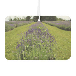 Ambientador Lavanda