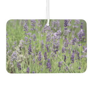 Ambientador Lavanda