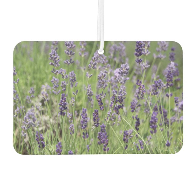 Ambientador Lavanda  (Anverso)