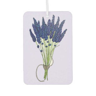 Ambientador Lavandula Lavender Bunch Herb Purple Flower Garden