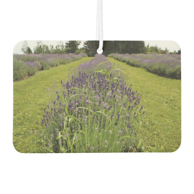 Ambientador Lavender  (Anverso)