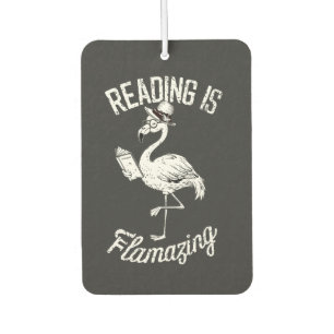 Ambientador Leer es fascinante para los amantes de la lectura