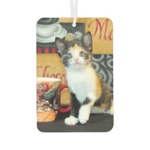 Ambientador Leilani - ¿Café Alguien?: Freshener de aire para g