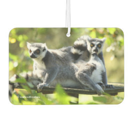 Ambientador Lemures de Madagascar