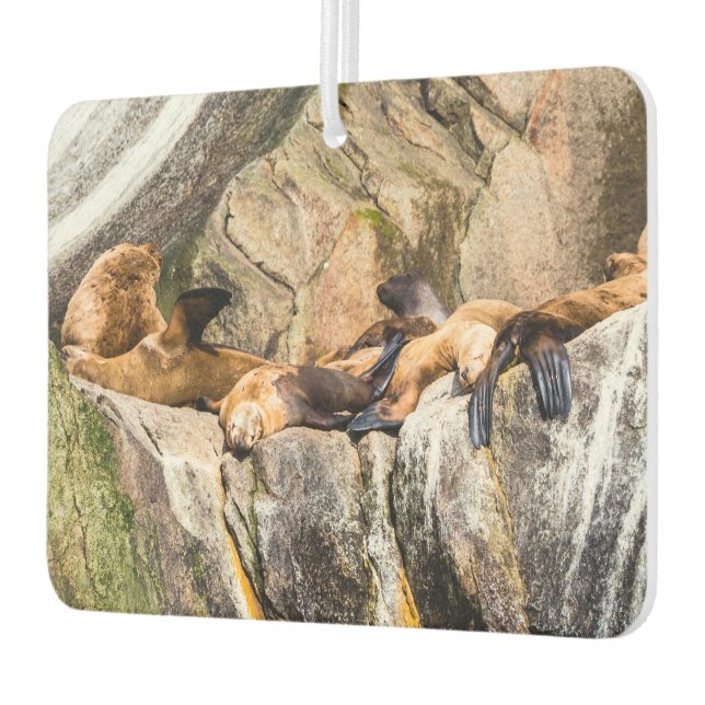 Ambientador Leones Marinos Sobre Las Rocas (Izquierda)