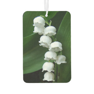 Ambientador Lily del Valle