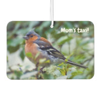 Little Chaffinch Car Air Freshender