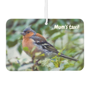 Ambientador Little Chaffinch Car Air Freshender