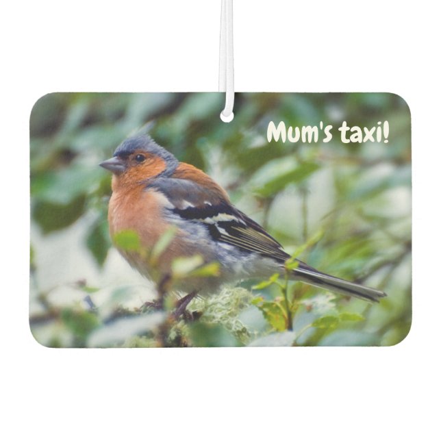 Ambientador Little Chaffinch Car Air Freshender (Anverso)