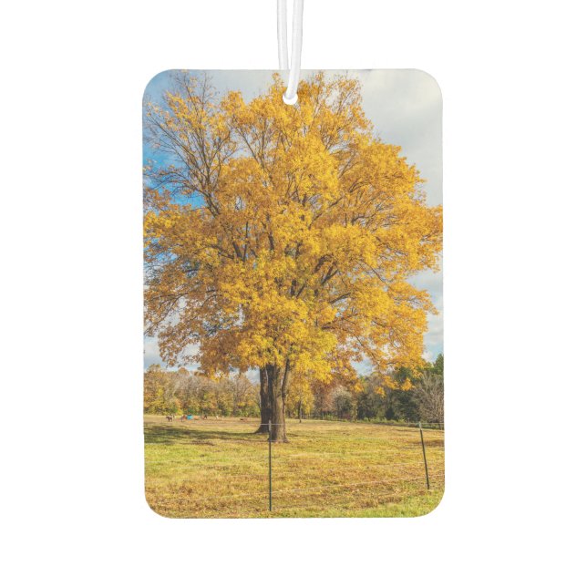 Ambientador Maíz azucarera amarilla de otoño (Reverso)