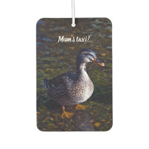 Ambientador Mallard Duck Air Freshener