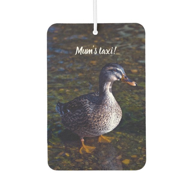 Ambientador Mallard Duck Air Freshener (Anverso)