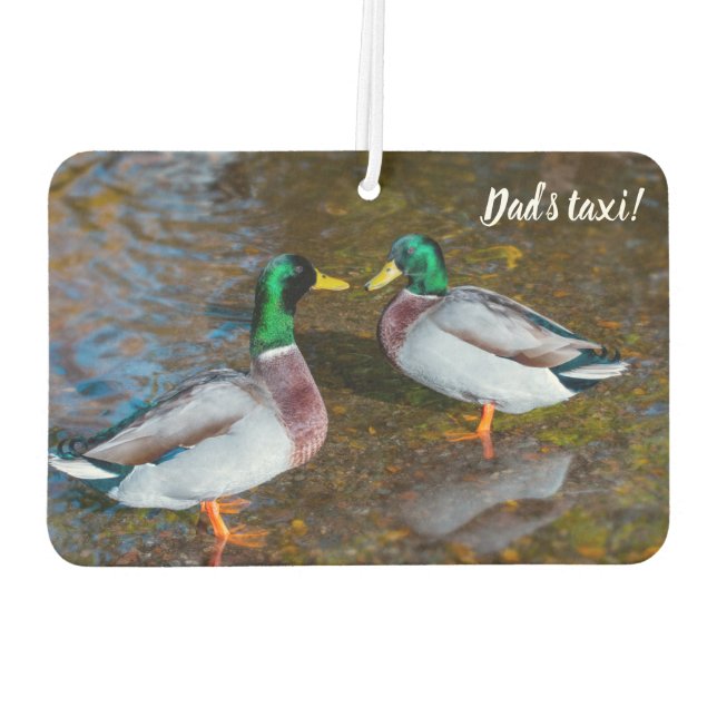 Ambientador Mallard Ducks Air Freshener (Reverso)