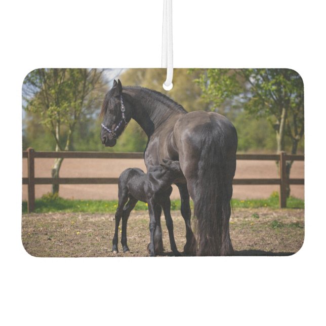 Ambientador Mami y el caballo bebé (Anverso)