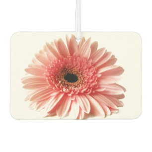 Ambientador Margarita de Gerbera