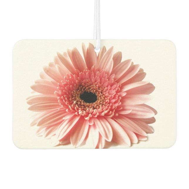 Ambientador Margarita de Gerbera (Anverso)