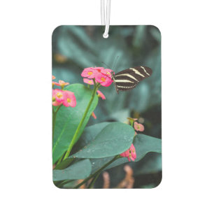 Ambientador Mariposa en una flor