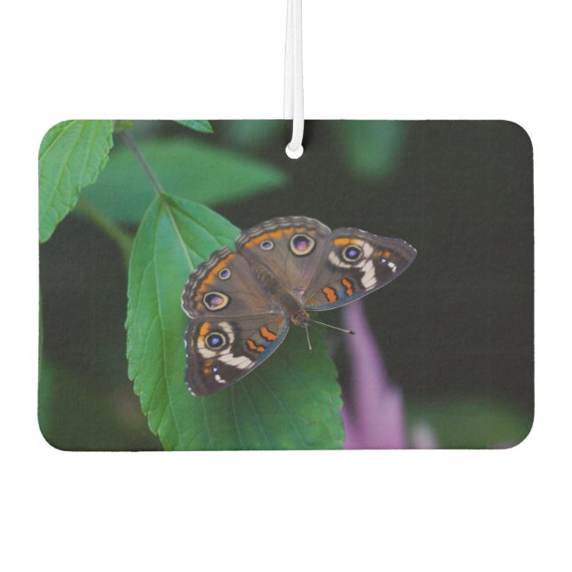 Ambientador Mariposa localizada (Anverso)