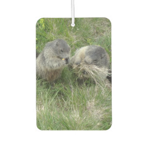 Ambientador Marmots Art Air Fresner