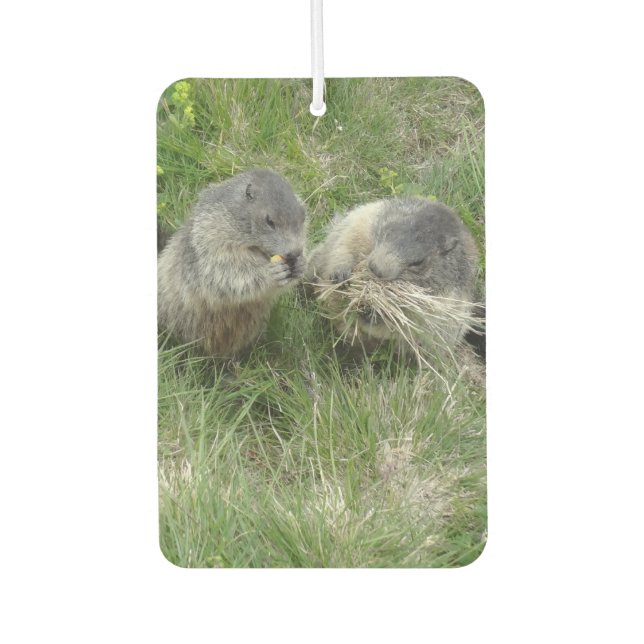 Ambientador Marmots Art Air Fresner (Anverso)