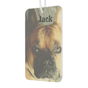 Ambientador Mascota de Perro Cute con nombre fotográfico perso