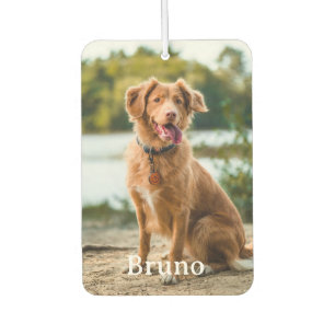 Ambientador Mascota personalizado 2 Nombre del perro Amantes