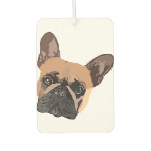Ambientador Mascota Personalizado Foto Aire Aire Abierto