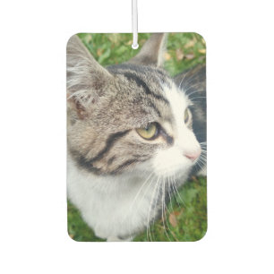 Ambientador Mascota personalizado foto coche aire fresco olor