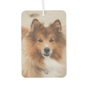 Ambientador Mascota personalizado Foto subida 2 imágenes de Ma