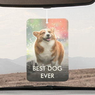 Ambientador Mascota personalizado Foto Y Nombre Gato Perro Per