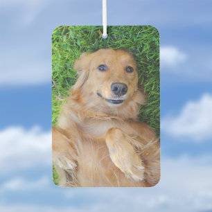 Ambientador Mascota Photo Air Freshener