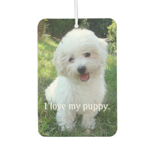 Ambientador Me encanta mi cachorro Car Air Freshener