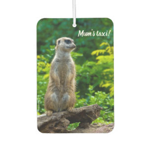 Ambientador Meerkat Car Air Freshener