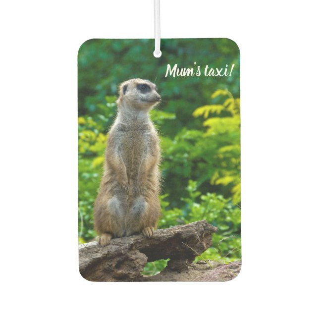 Ambientador Meerkat Car Air Freshener (Anverso)