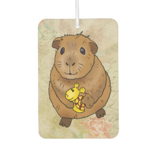 Ambientador Meerscheinchen und Schnecke