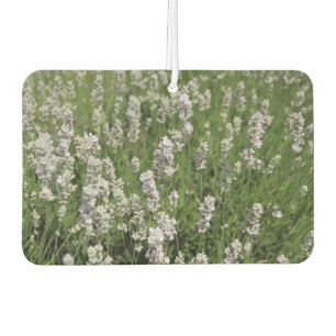 Ambientador Melissa Lavender