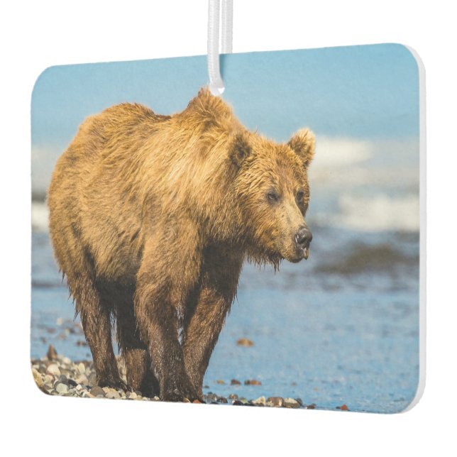 Ambientador Mi mamá oso viendo a sus dos hijos (Izquierda)