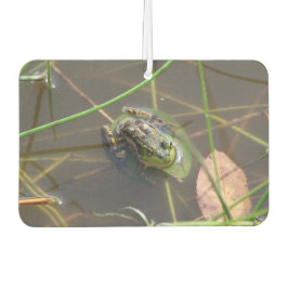 Ambientador Mink Frog