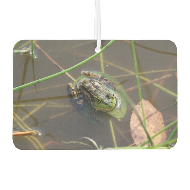 Ambientador Mink Frog (Anverso)