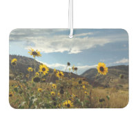 Montaña girasoles Hermosa foto al aire libre