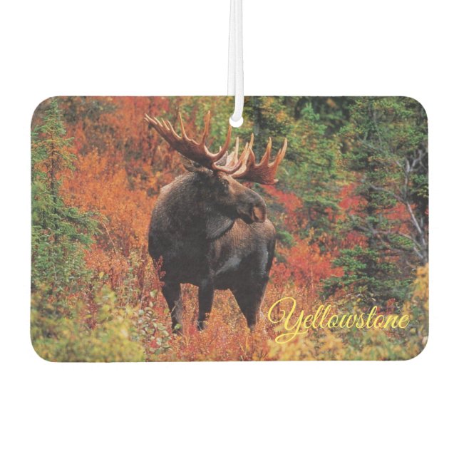 Ambientador Moose Air Freshner-Yellowstone (Anverso)