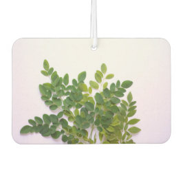 Ambientador Moringa sale con espacio de texto