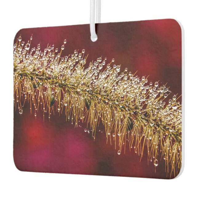 Ambientador Morning Dew (Izquierda)