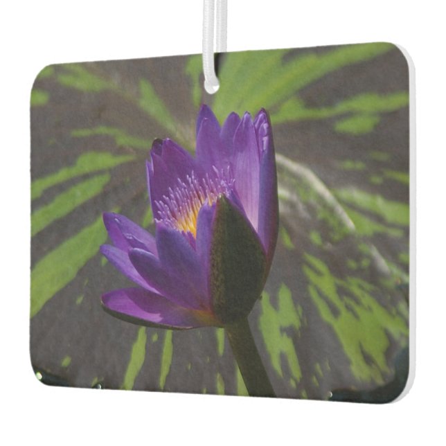 Ambientador Morple Lotus Waterlily (Izquierda)