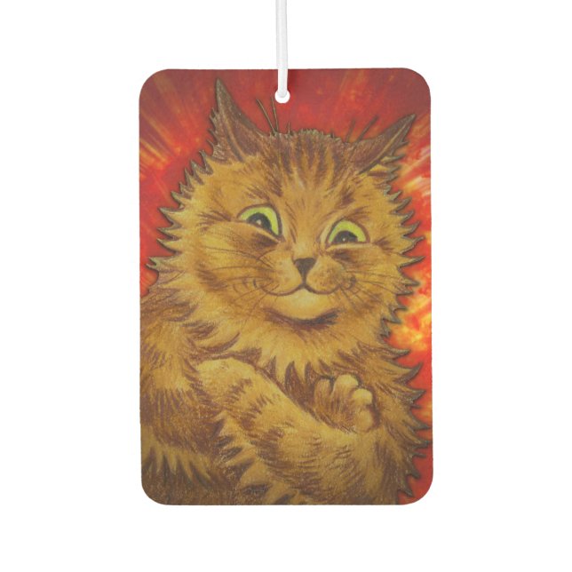 AMBIENTADOR NARANJA KITTY CAT MASCOTA (Anverso)