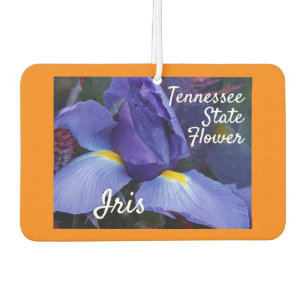 Ambientador Naturaleza de Iris de la Flor Estatal de Tennessee