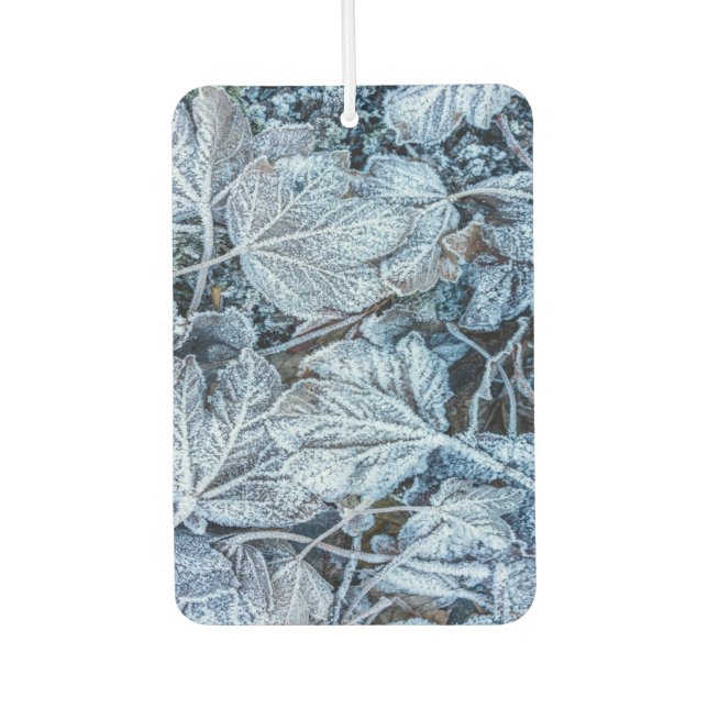 Ambientador Navidades Fiesta Blue Leaves Vacaciones de Nieve I (Anverso)