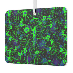 Ambientador Neuron City Car Freshener