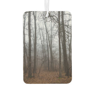 Ambientador Niebla a través del bosque